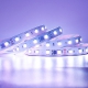 60LEDs 10Pixels Digital LED Strip