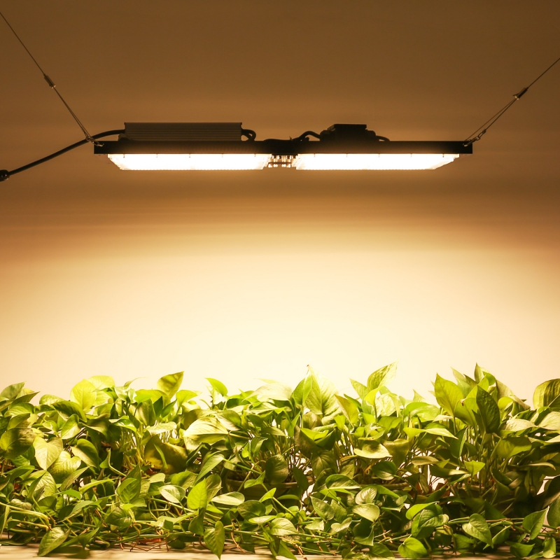 V2 240W LED Plant Grown Light
